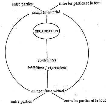 wpe2.jpg (11627 octets)